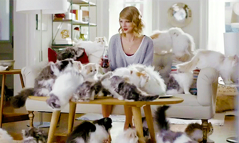 20 Signs You're A Crazy Cat Person
