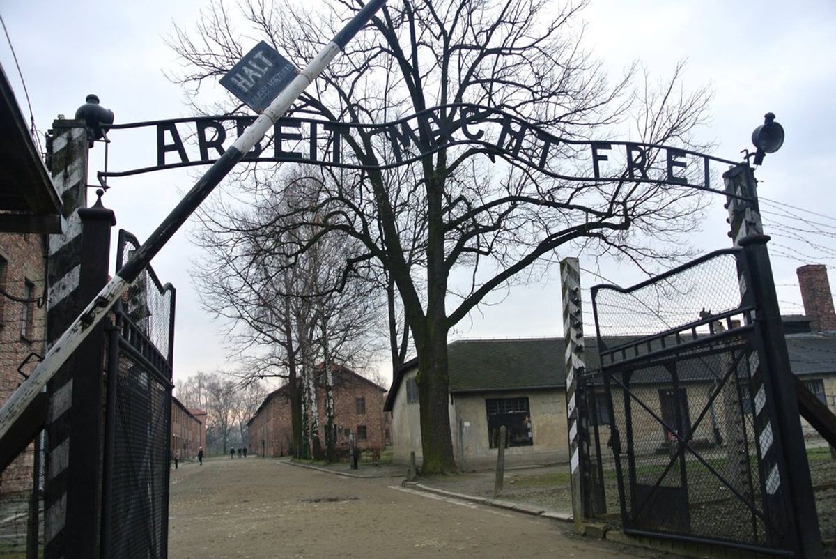 My Day At Auschwitz
