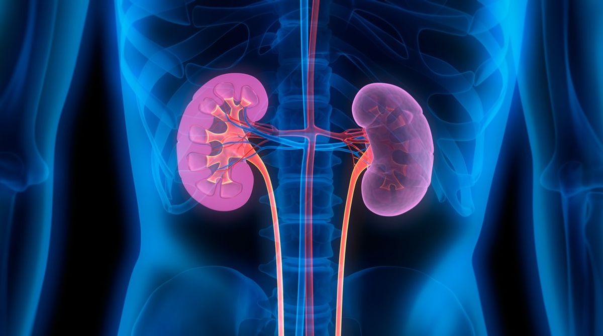 The Importance Of World Kidney Day