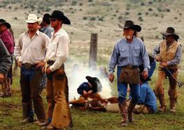 6 Common Misconceptions About Texans