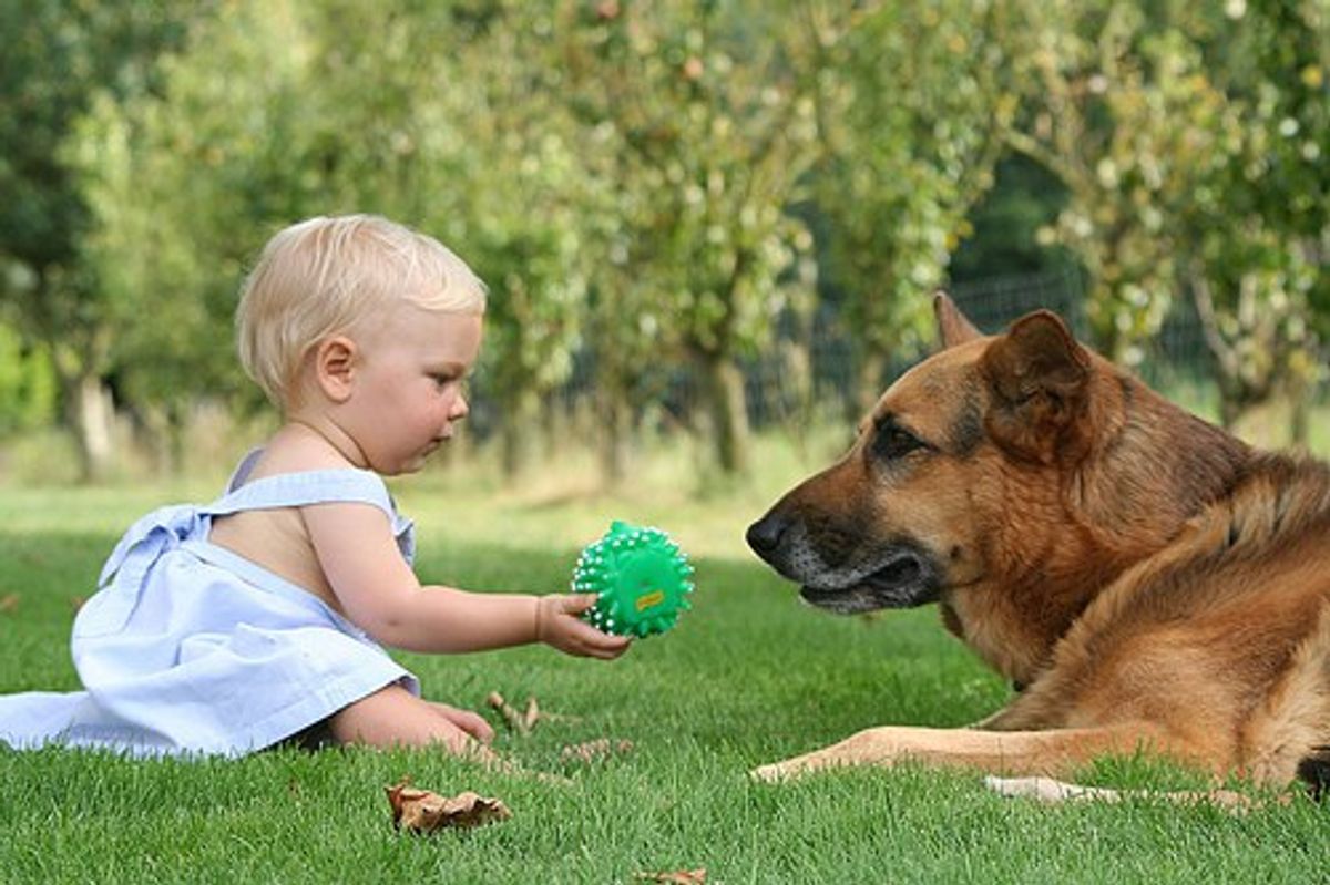 11 Things That Are True For People Who Prefer Dogs To Babies