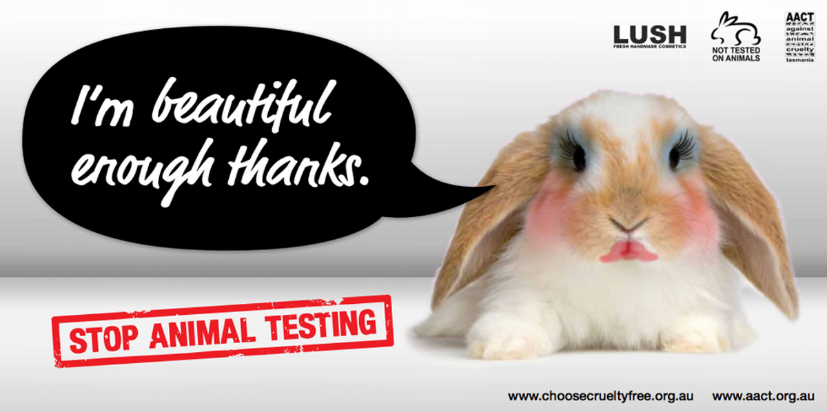 Cruelty-Free Beauty Brands That You Absolutely Need