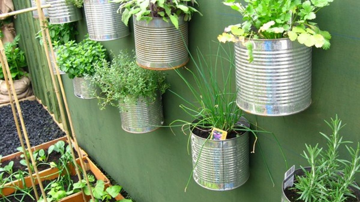 Easy, Colorful, And Fun Indoor Gardening Tips