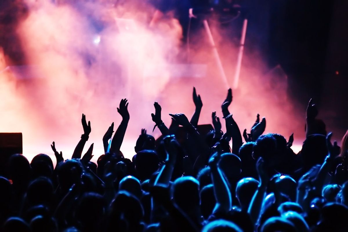 7 Types Of People You Will See At Every Concert