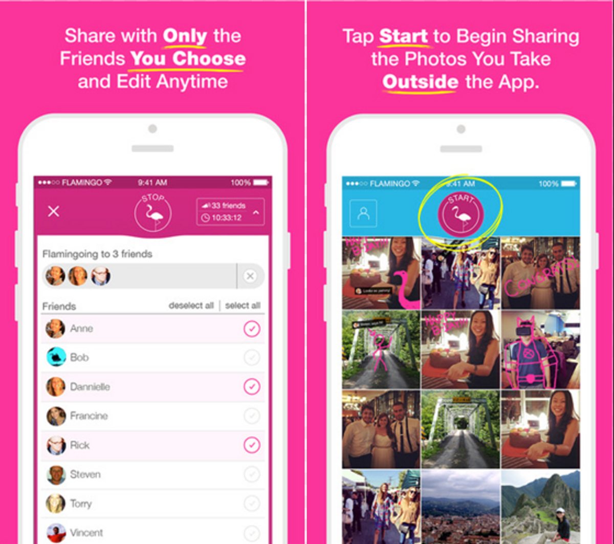 Flamingo: The App