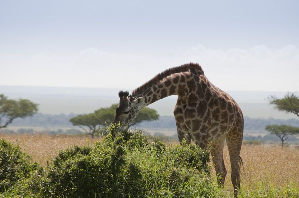 9 Advantages Of Being A Woman Over 6 Feet Tall