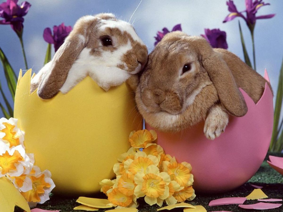 13 Fictional Rabbits To Celebrate This Easter