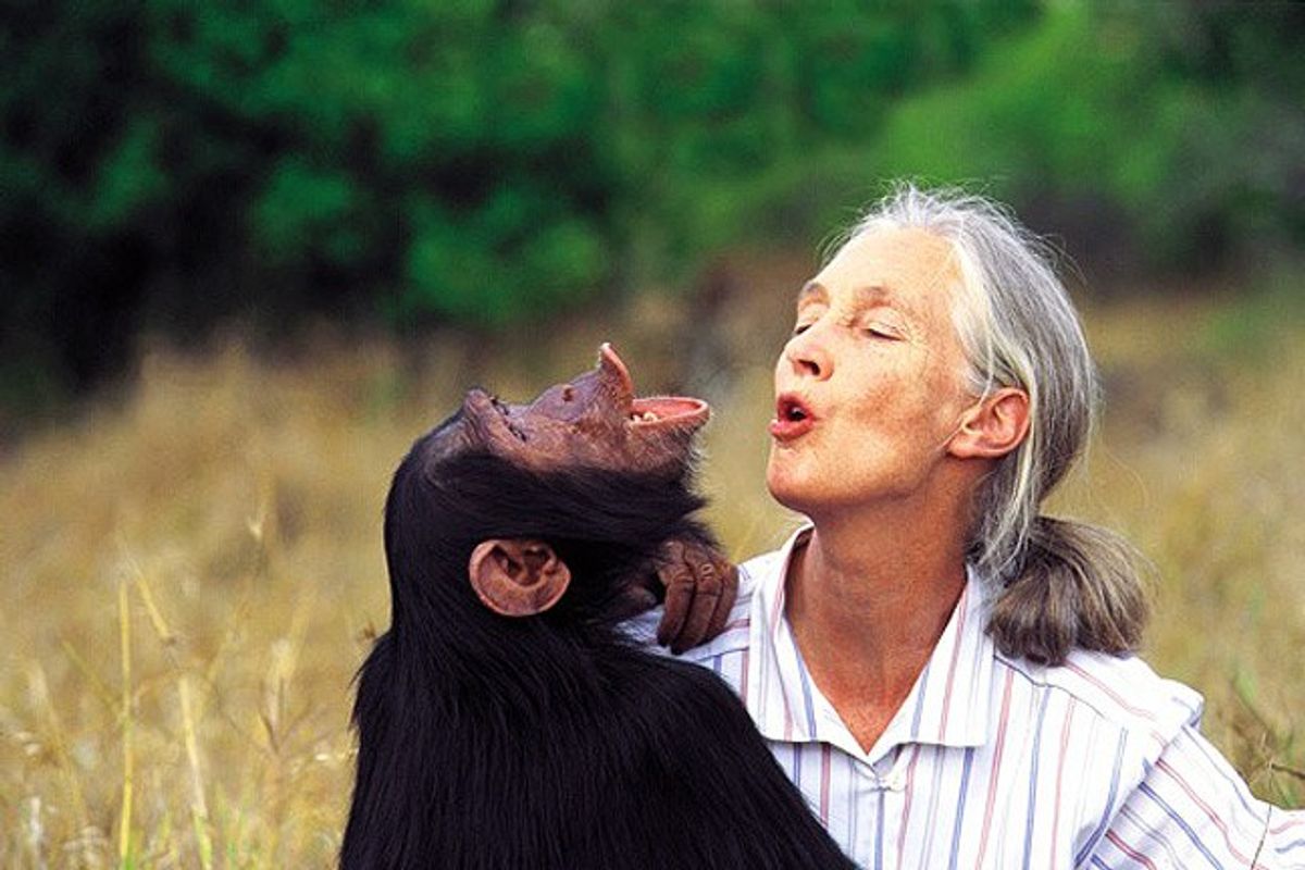 How Jane Goodall Was And Still Is Changing The World