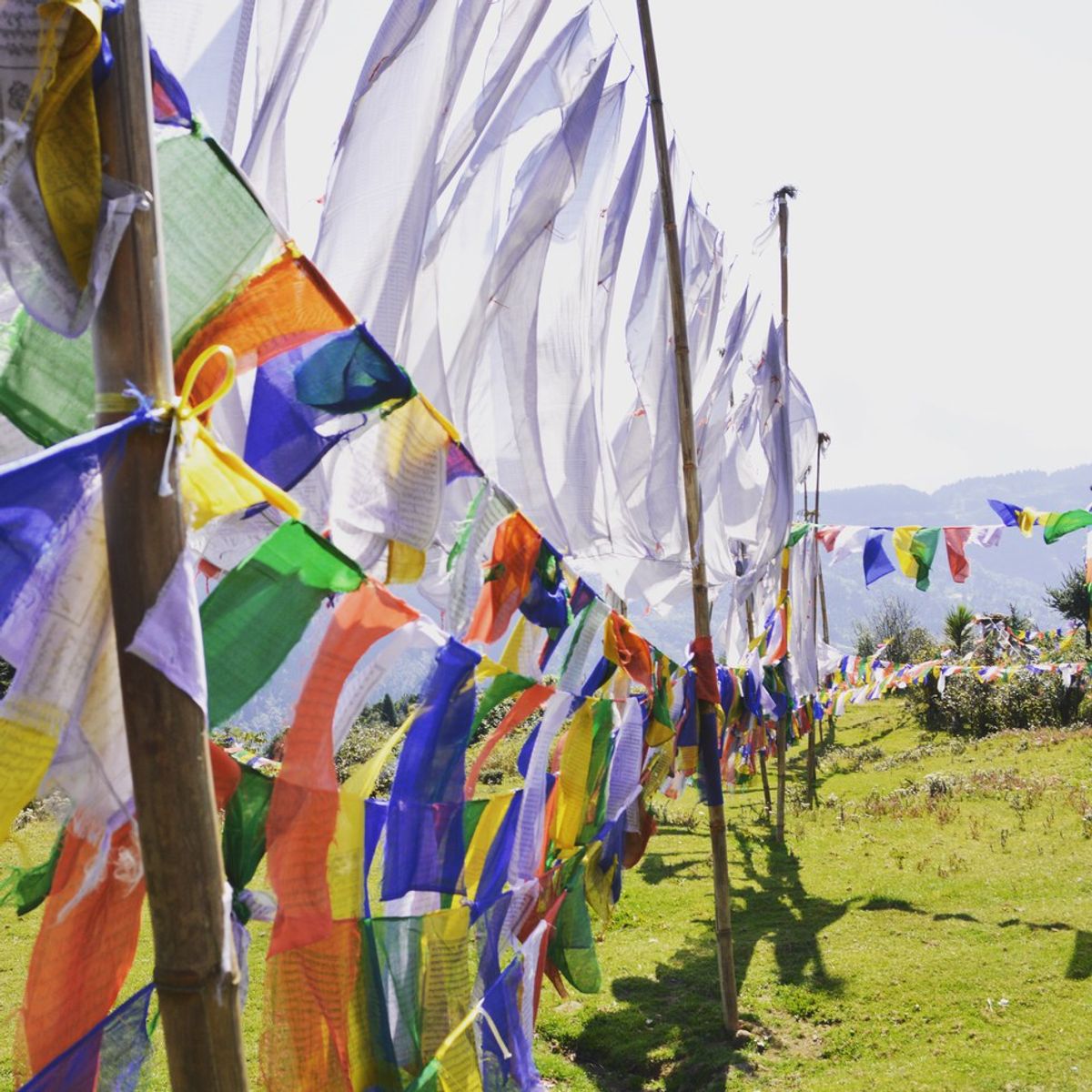 5 Reasons You Should Never Go To India