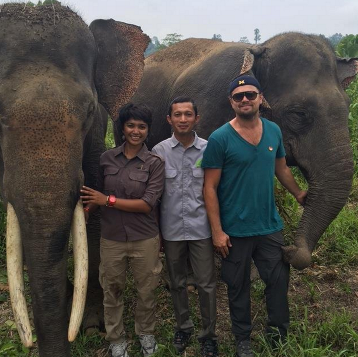 Leonardo DiCaprio Banned from Indonesia For Caring Too Much