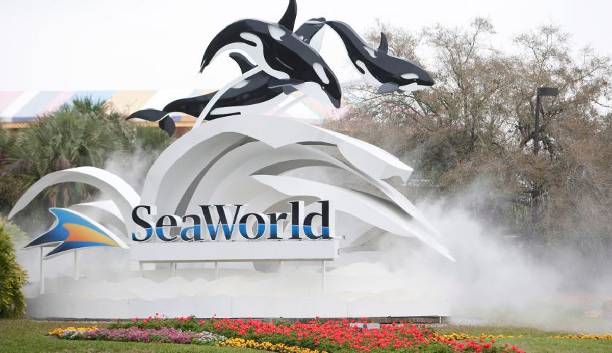 Why I Stand With SeaWorld