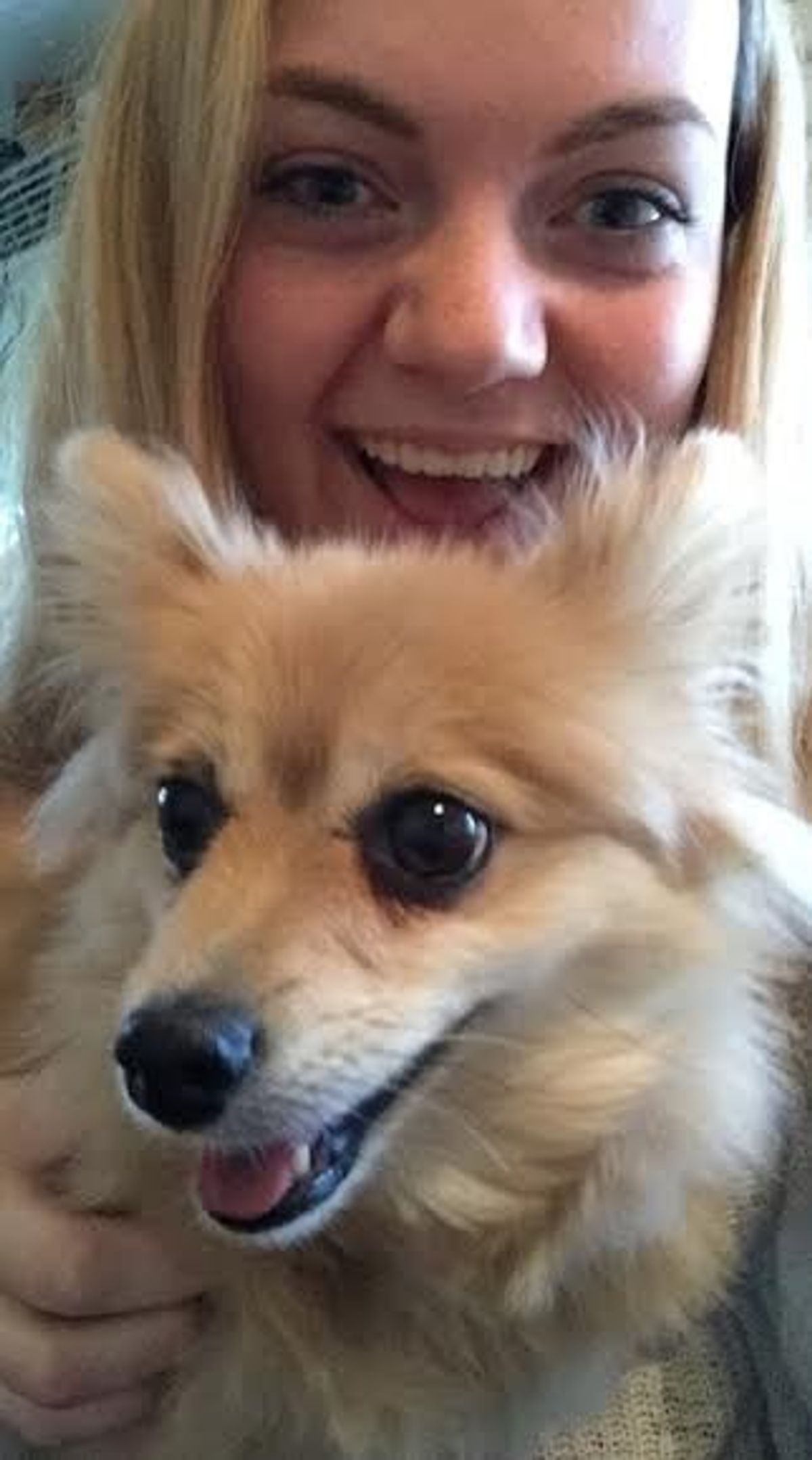 8 Signs You're Obsessed With Your Dog