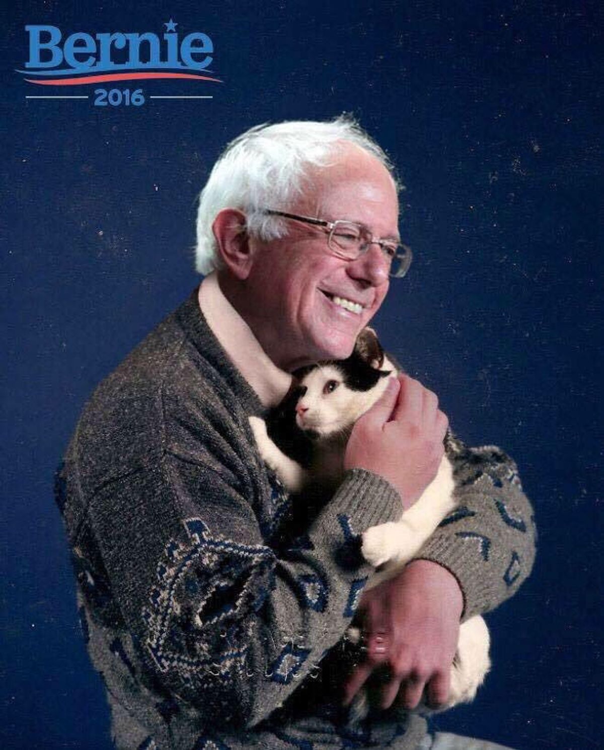 4 Reasons Bernie Sanders And Cats Are Similar