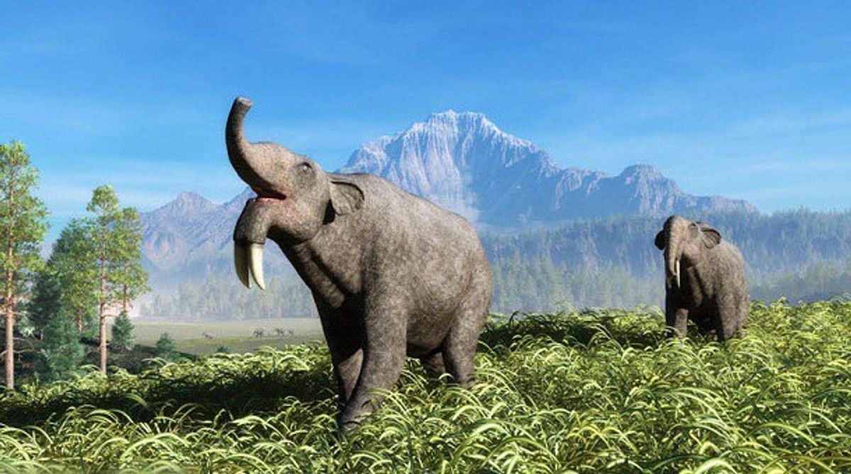 The College Experience, As Told By Prehistoric Mammals
