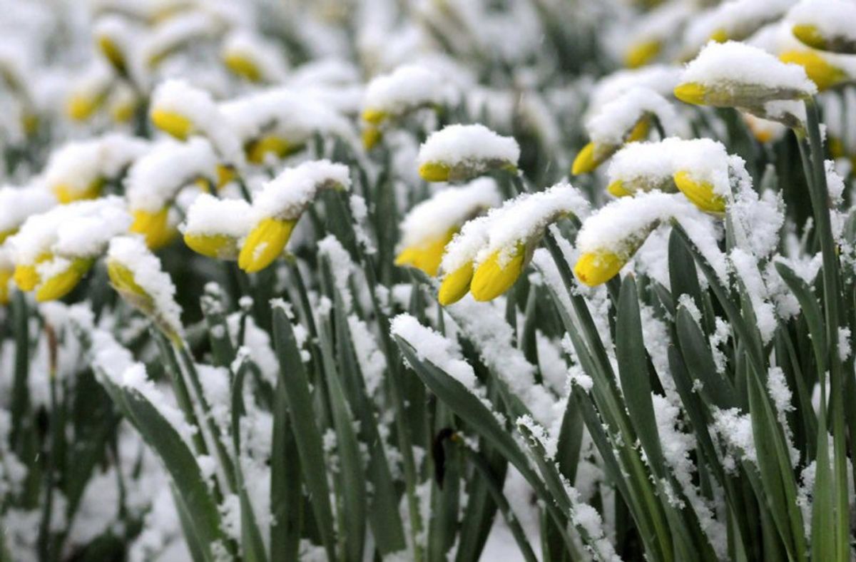 6 Signs It's Spring In The Midwest