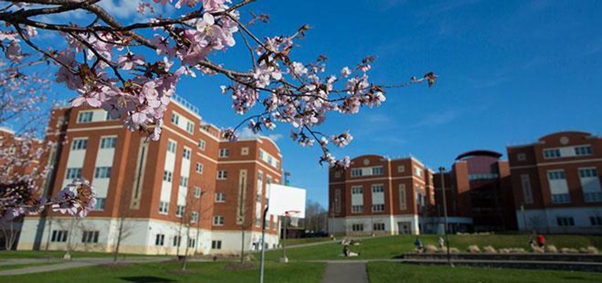 Open Letter About Living On Campus