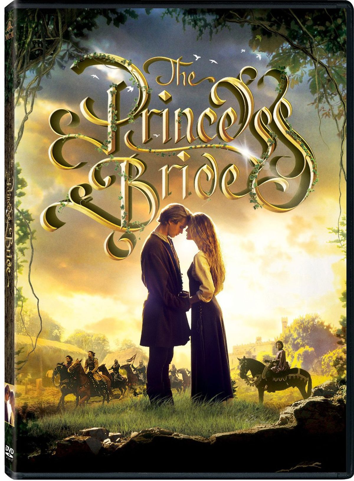 What Does "The Princess Bride" Really Teach Us?
