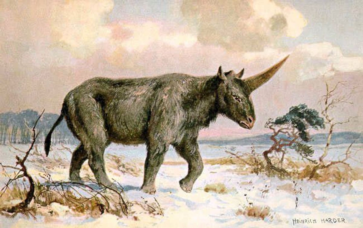 New Studies Show Unicorns (Did) Exist And They May Have Encountered Early Humans