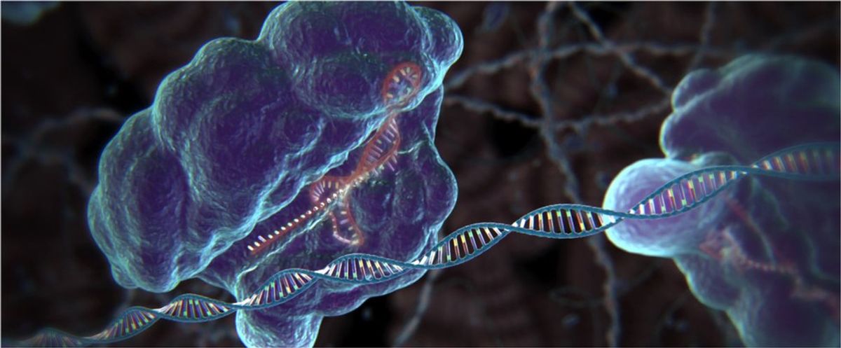 CRISPR-Cas9 Gene Editing: Where Is It Going And What Could It Do?