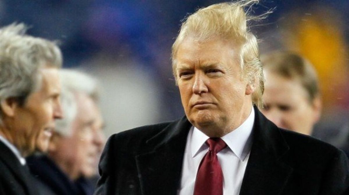 10 Things That Would Look Better On Donald Trump's Head Than His Hair