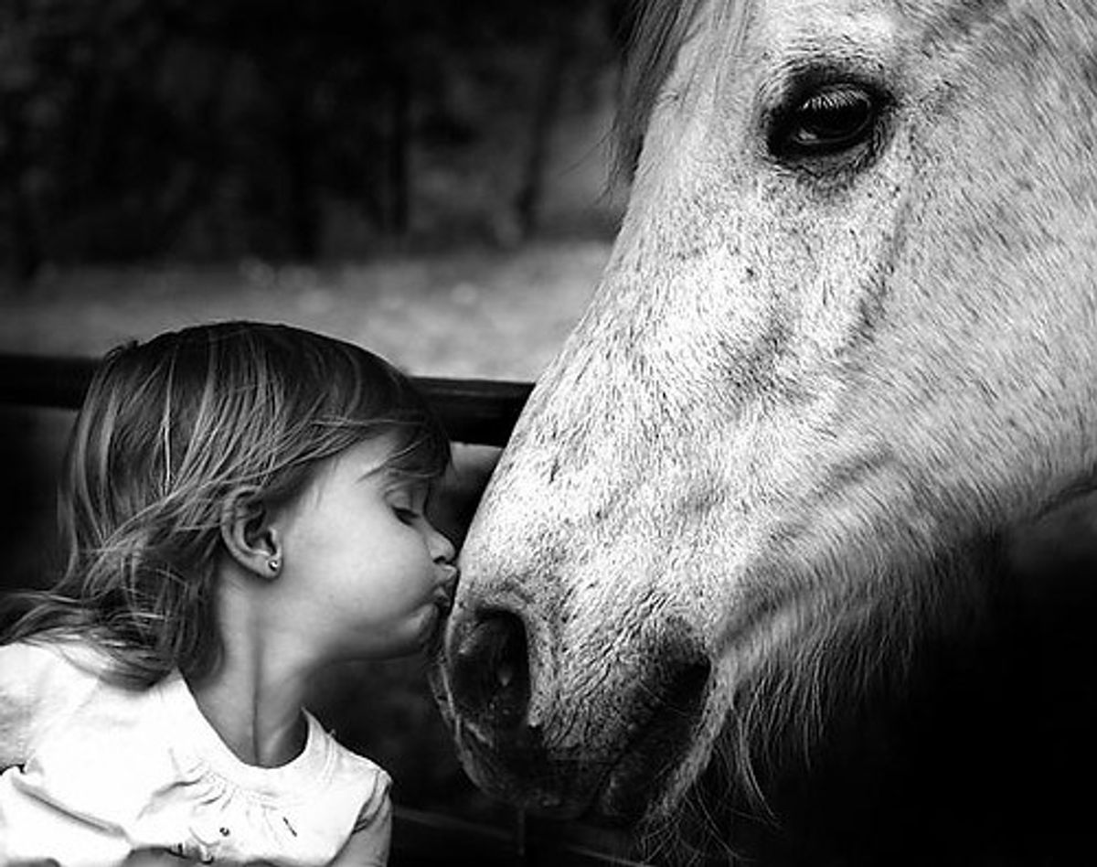 7 Magical Powers Gained From Growing Up With Horses