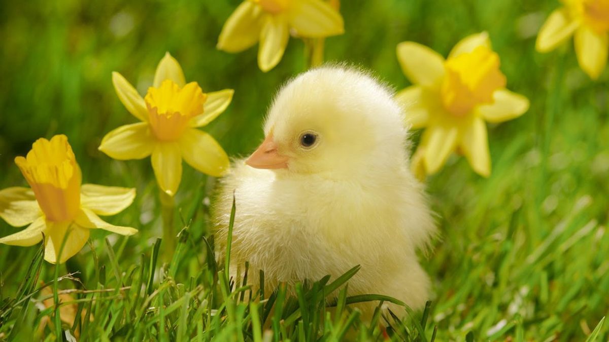 3 Reasons We Love And Hate Spring