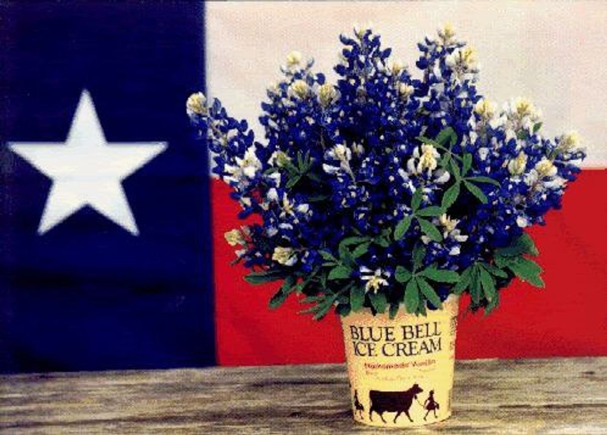 16 Things You'll Find Deep In The Heart Of Texas