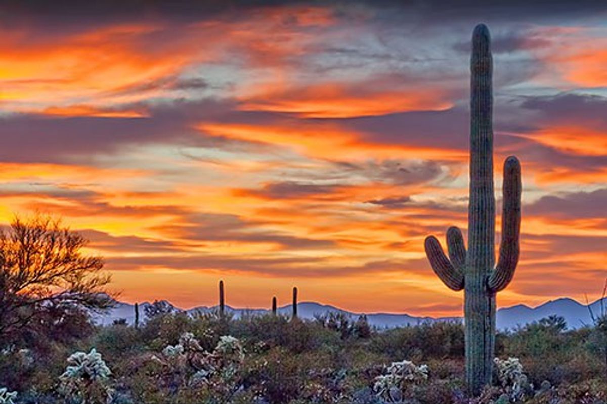 10 Astounding Attractions In Northern Arizona