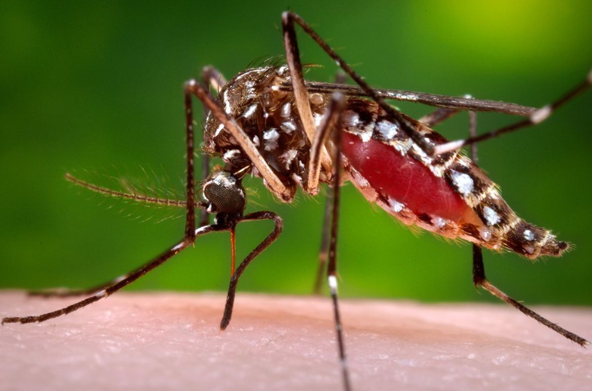 The Zika Virus: A Public Health Emergency