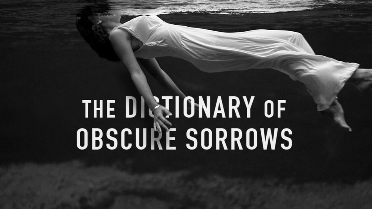 The Dictionary Of Obscure Sorrows