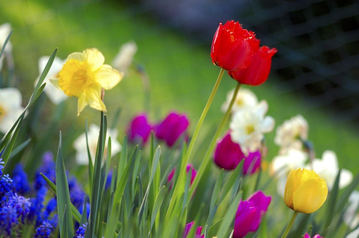 5 Reasons We're All Happy About the Arrival Of Spring Weather