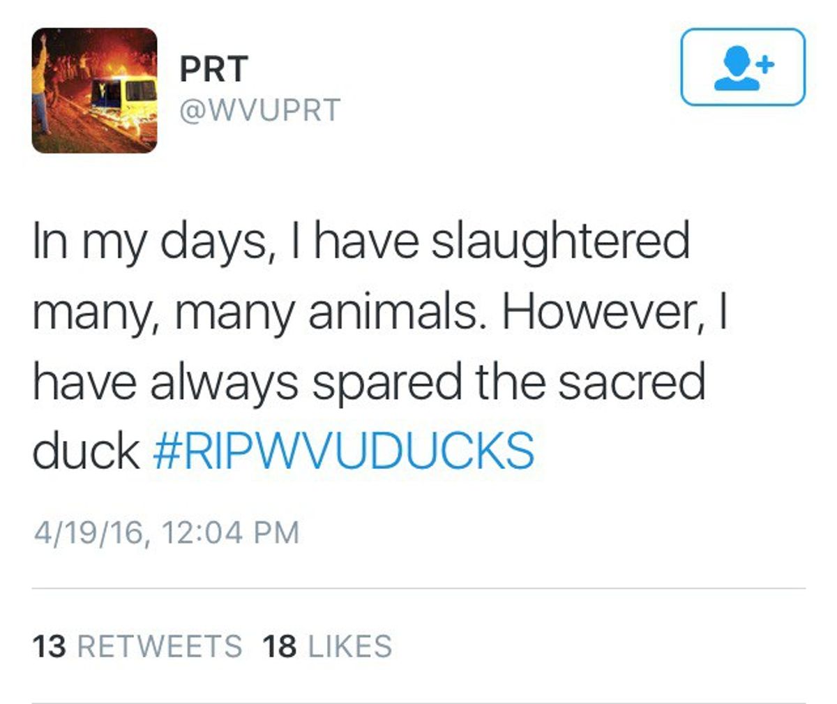 Duck Murders Send Shockwaves Across WVU Campus