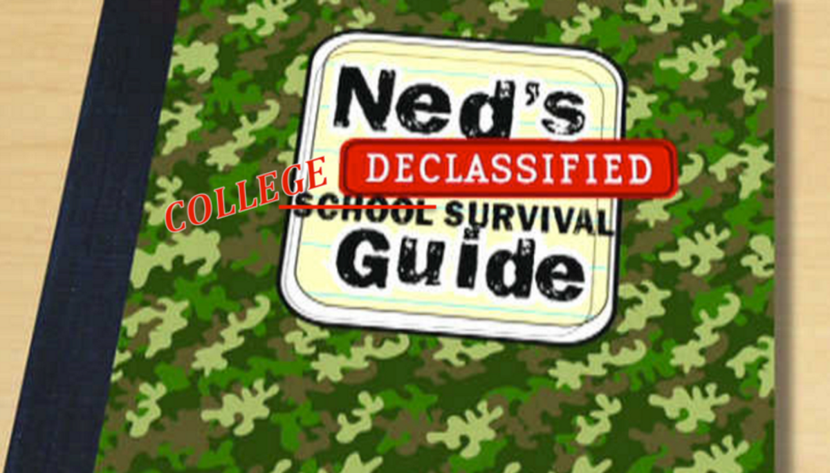 Final Tips From Ned's Declassified School Survival Guide