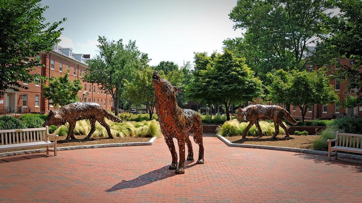8 Things You Need To Know Before Coming To NC State