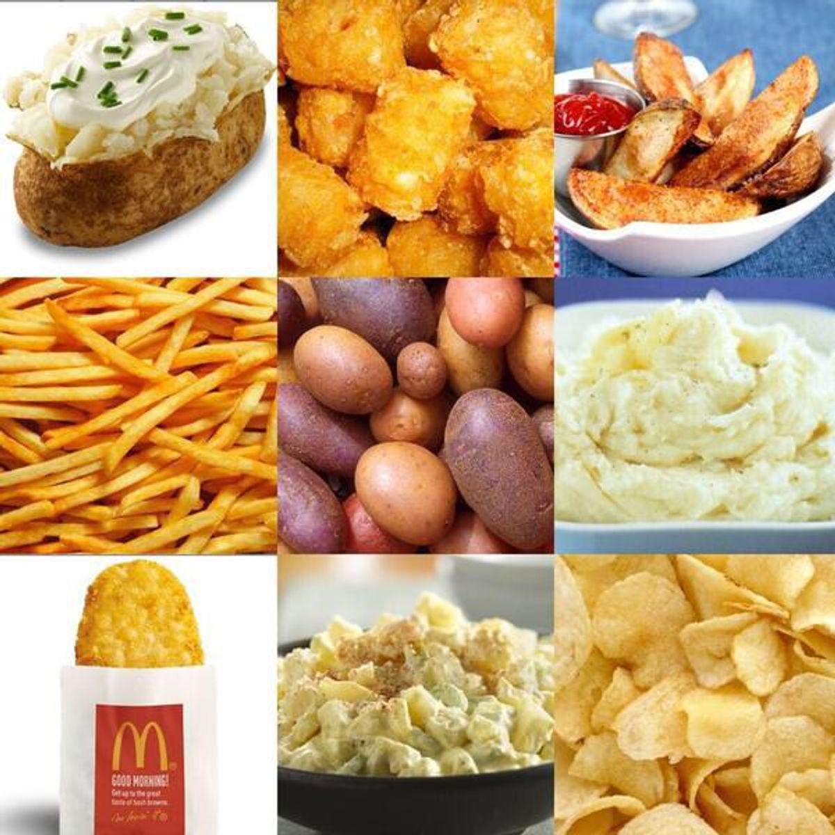 A visual depiction of different forms of potatoes