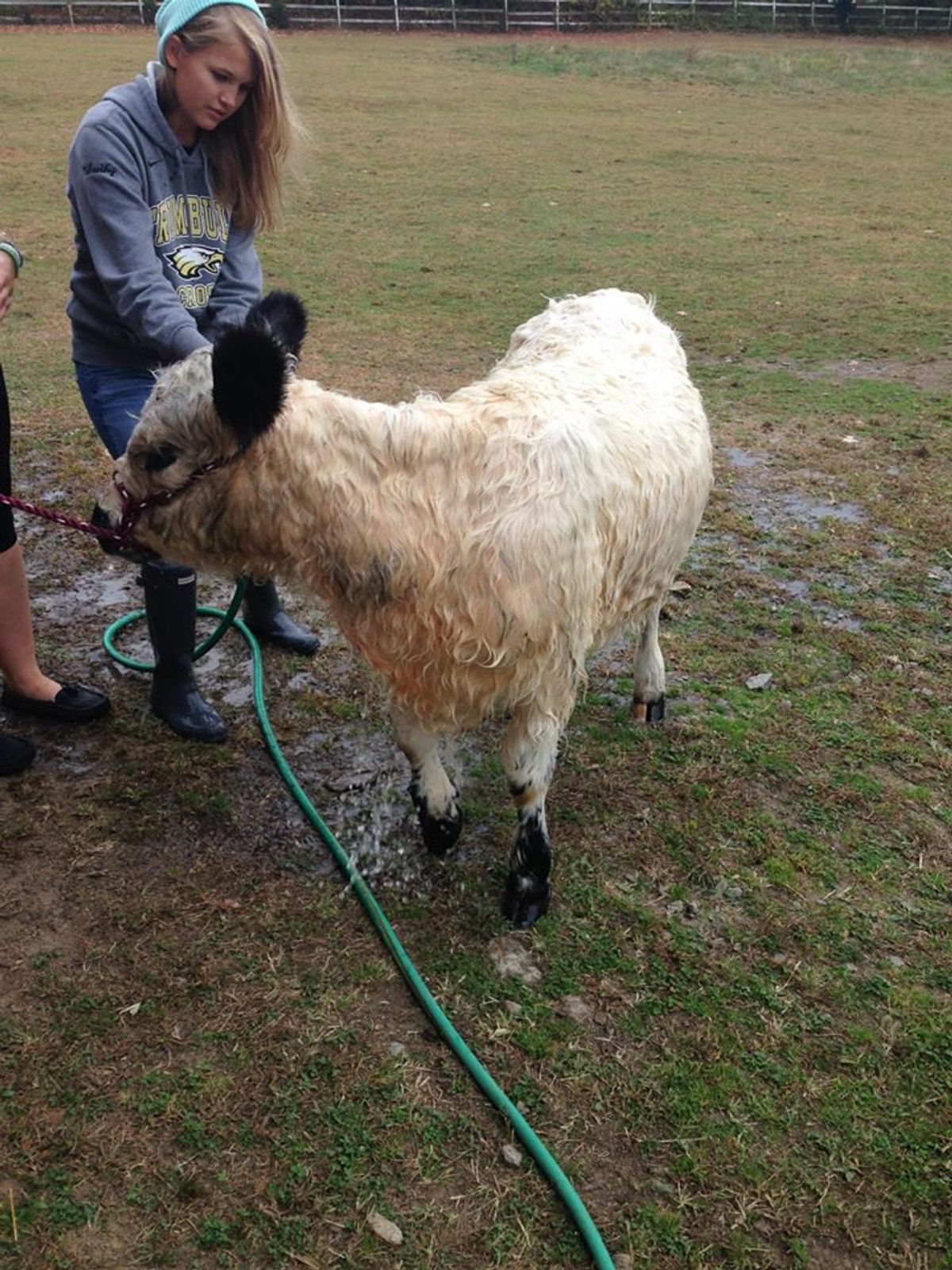 12 Ways to Know You're From Trumbull Agriscience