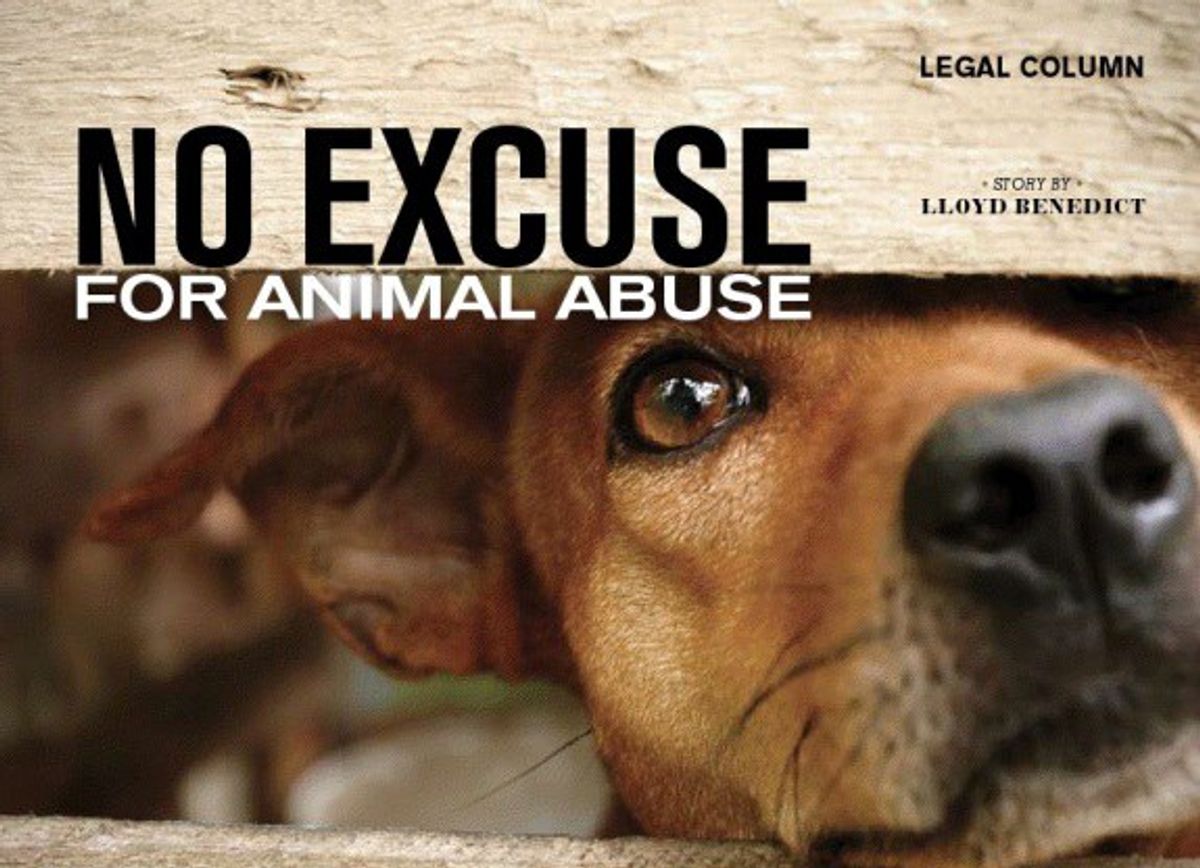 Animal Cruelty Is An Injustice That Is Finally Being Taken More Seriously.