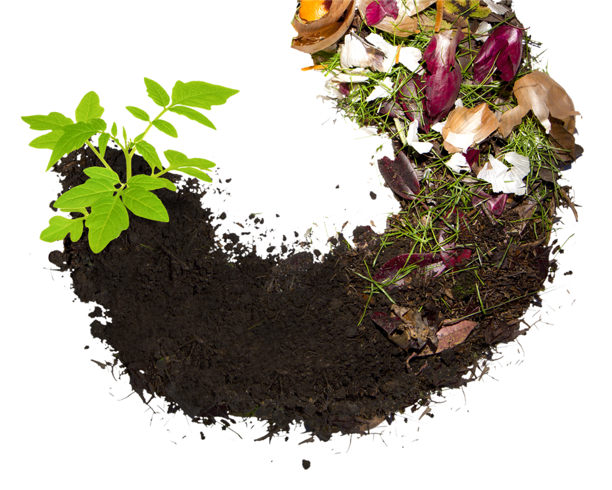 Panning for Black Gold: The Importance of Composting