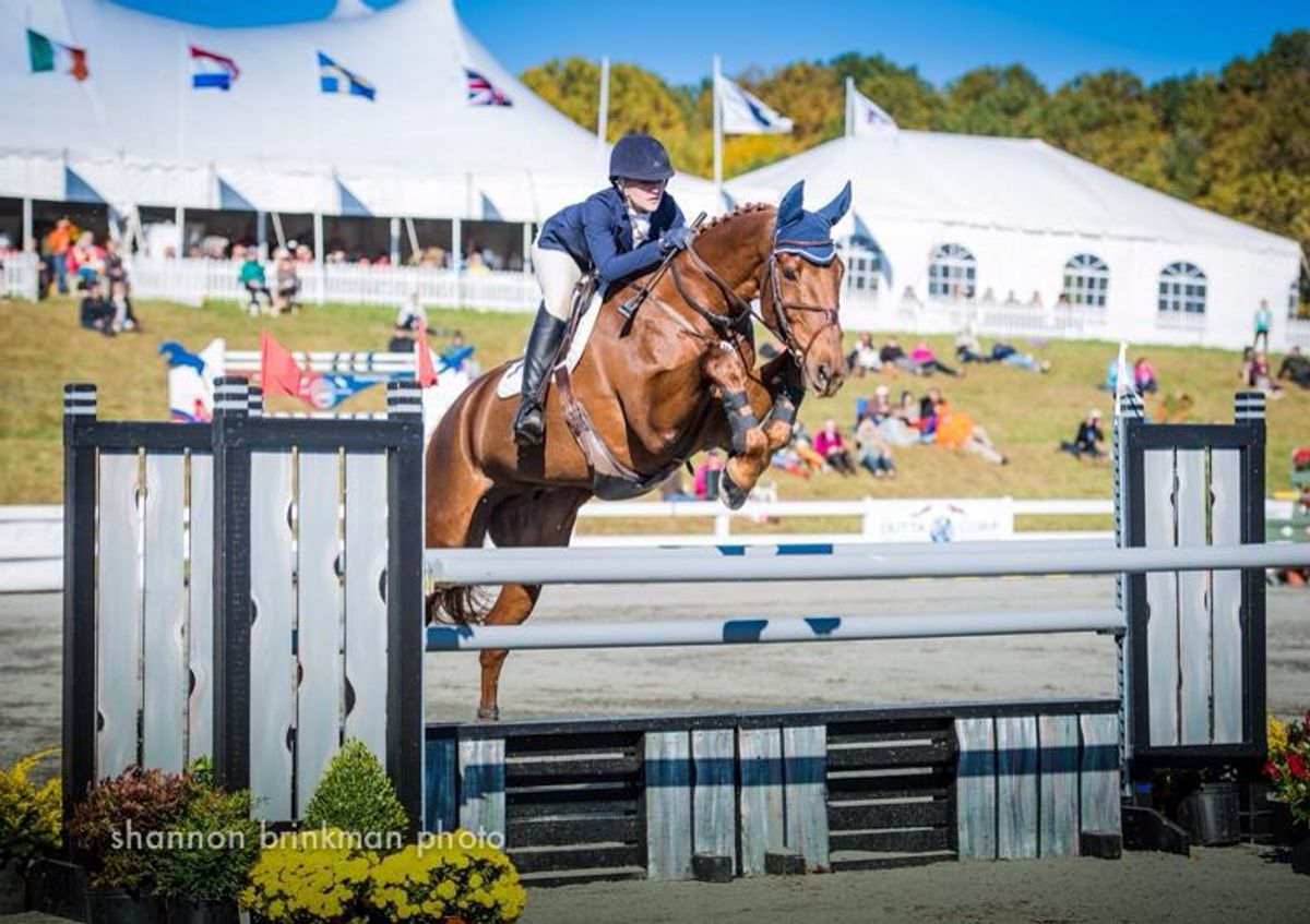 A Beginner's Guide To Three-Day Eventing
