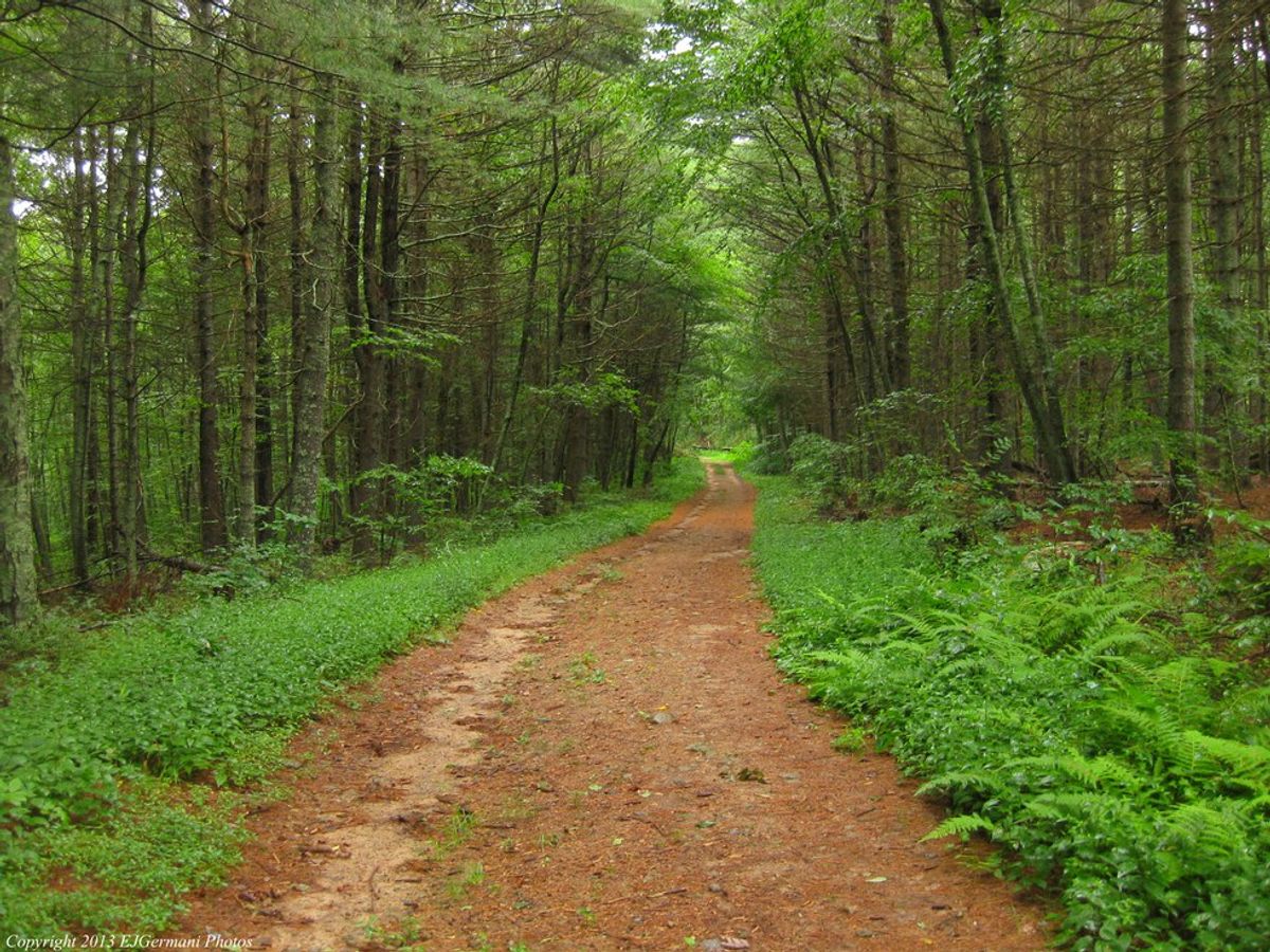 5 Hiking Trails You Must Try In Rhode Island