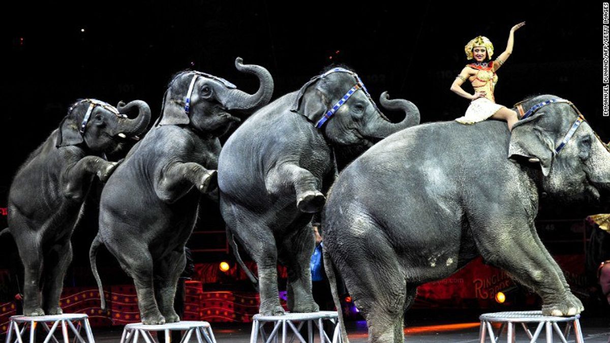 You Should Care About the Ringling Bros.' Elephants' Final Bow