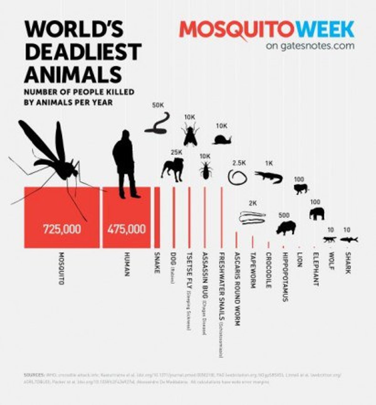 The World’s Deadliest Animal – The Mosquito