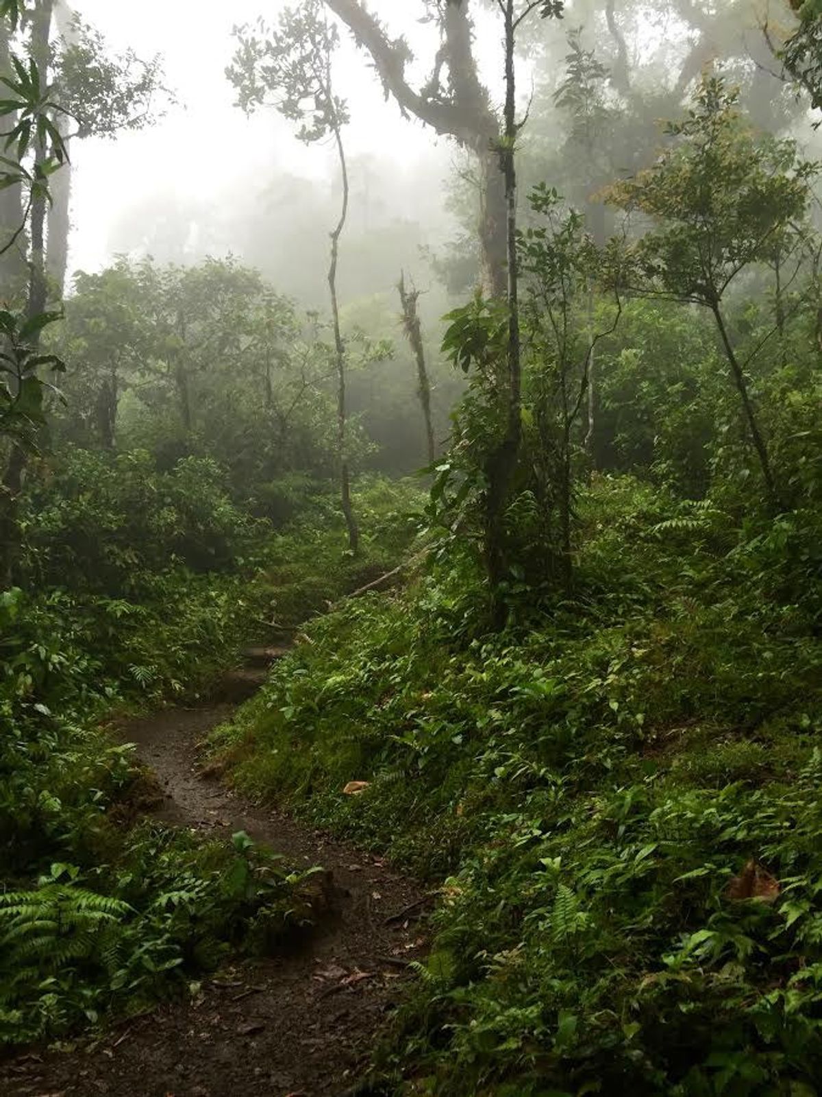 Cerro Chato: A Costa Rican Climb
