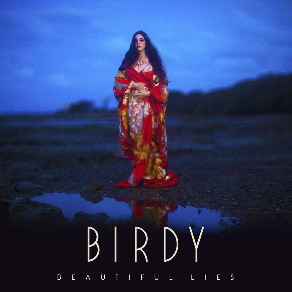 Birdy Beautiful Lies Album Appreciation