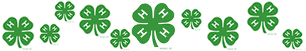 10 Reasons Why Everyone Should Join 4-H