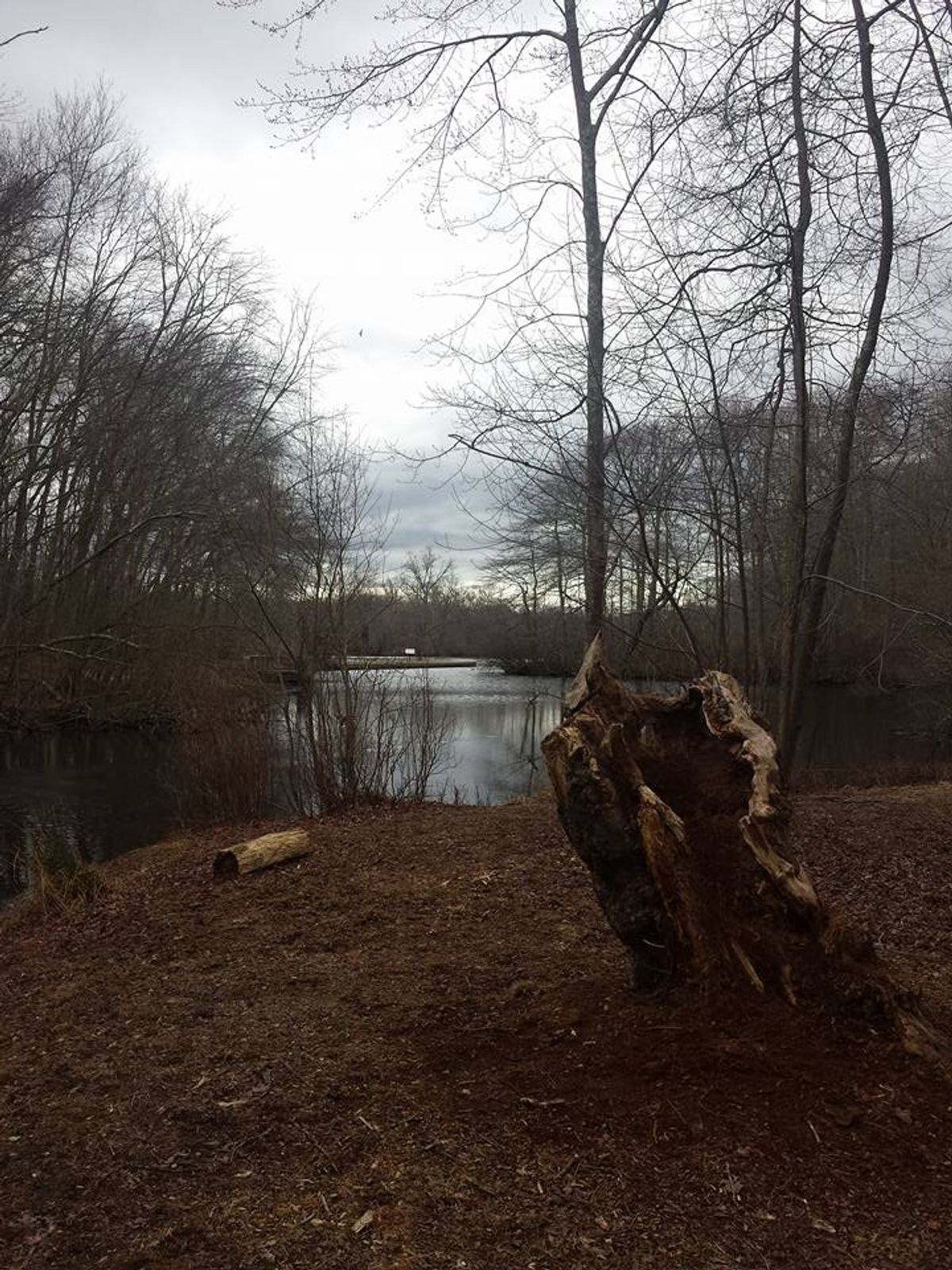 10 Easy Ways You Can Help The Environment This Summer