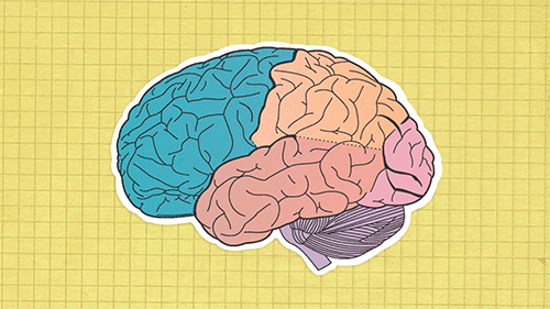 5 Reasons Why Neuroscience is The Coolest