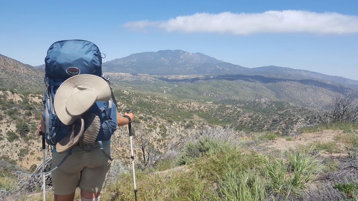 9 Ways Trekking Poles Will (Sometimes Literally) Save Your Life