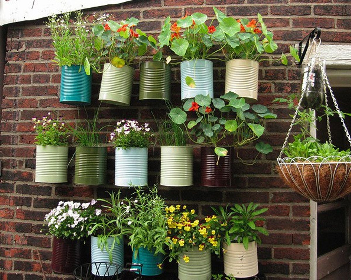 9 Cheap Eco-Friendly DIY Projects