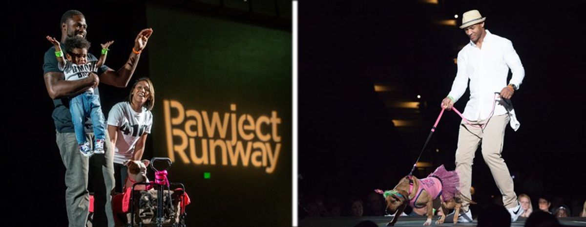 4 Reasons Baltimore's 4th Annual Pawject Runway Was Awesome